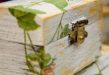 La tecnica del decoupage 775 0 006 La tecnica del Decoupage_ok